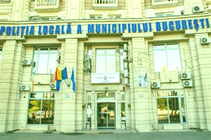 Escorts Bolovani, Romania — Local Companions