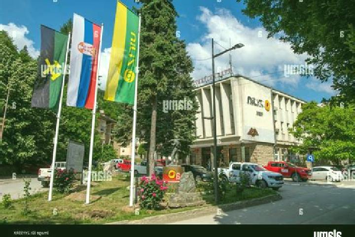Escorts Bor, Serbia — Local Companions
