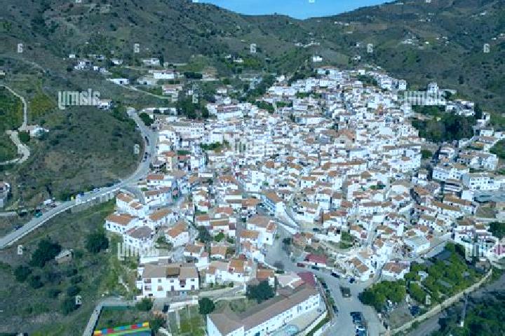 Escorts Borge, Spain — Local Companions