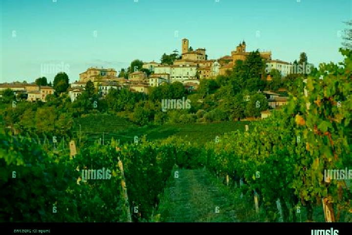 Escorts Borghi, Italy — Local Companions