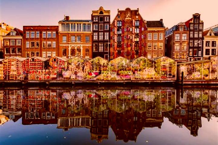 Escorts Borkel, Netherlands — Local Companions