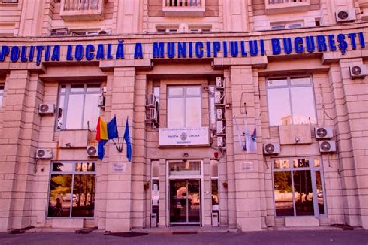 Escorts Borlova, Romania — Local Companions