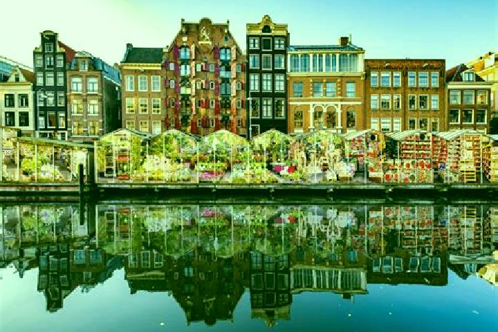 Escorts Born, Netherlands — Local Companions