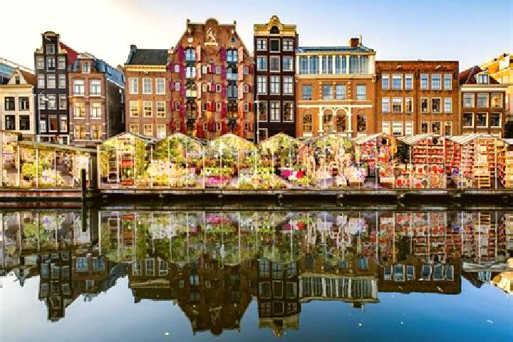 Escorts Bornerbroek, Netherlands — Local Companions