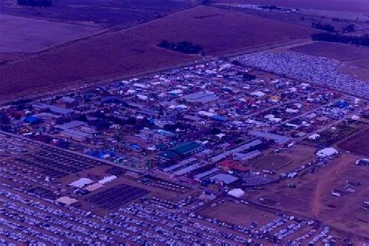 Escorts Bothaville, South Africa — Local Companions
