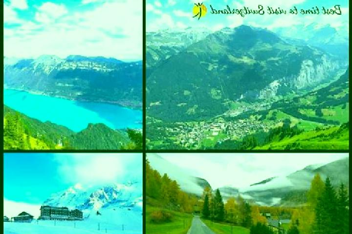 Escorts Bottighofen, Switzerland — Local Companions