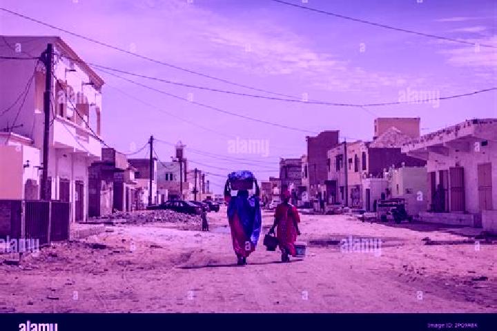 Escorts Boutilimitt, Mauritania — Local Companions
