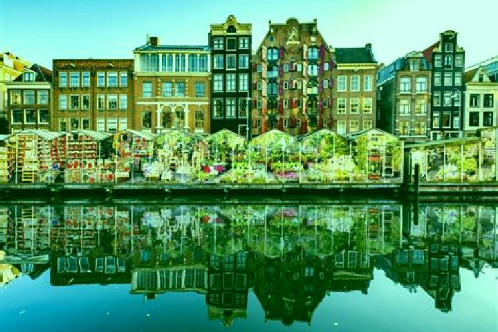 Escorts Brabander, Netherlands — Local Companions