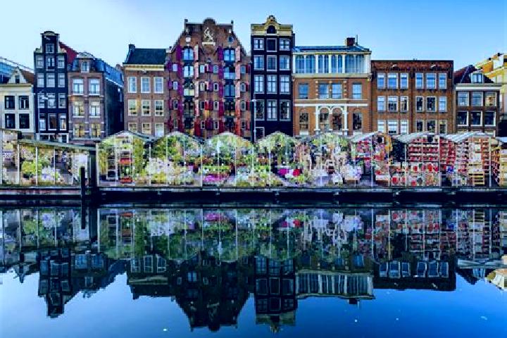 Escorts Brakkenstein, Netherlands — Local Companions