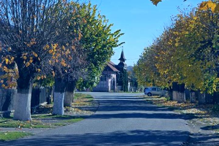Escorts Brebu, Romania — Local Companions