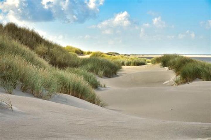 Escorts Breskens, Netherlands — Local Companions