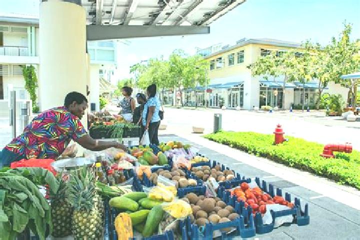 Escorts Brinkleys, Cayman Islands — Local Companions
