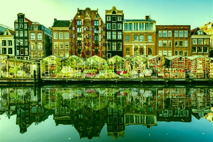 Escorts Broeksittard, Netherlands — Local Companions