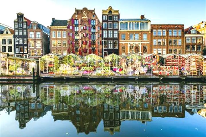 Escorts Brouwershaven, Netherlands — Local Companions