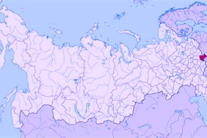 Escorts Bryansk, Russia — Local Companions