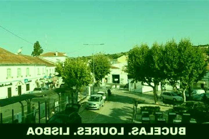 Escorts Bucelas, Portugal — Local Companions