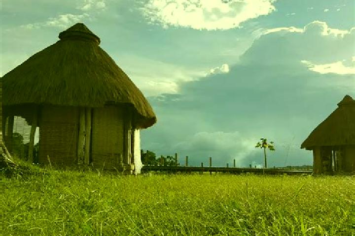 Escorts Buea, Cameroon — Local Companions
