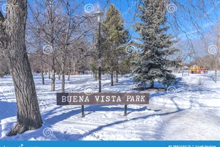 Escorts Buena Vista, Canada — Local Companions