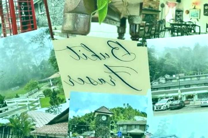 Escorts Bukit Fraser, Malaysia — Local Companions