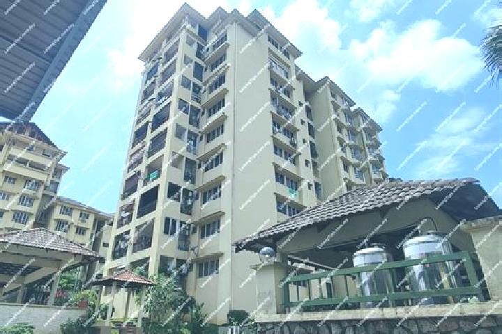 Escorts Bukit Rahman Putra, Malaysia — Local Companions