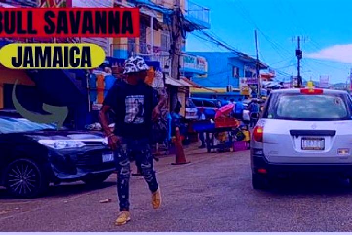 Escorts Bull Savannah, Jamaica — Local Companions