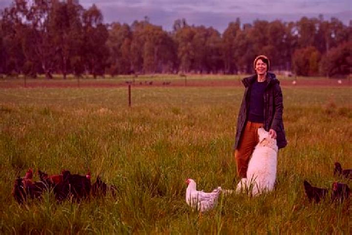 Escorts Bundarra, Australia — Local Companions