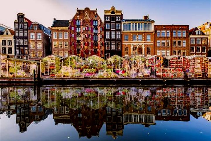 Escorts Burgemeesterswijk, Netherlands — Local Companions
