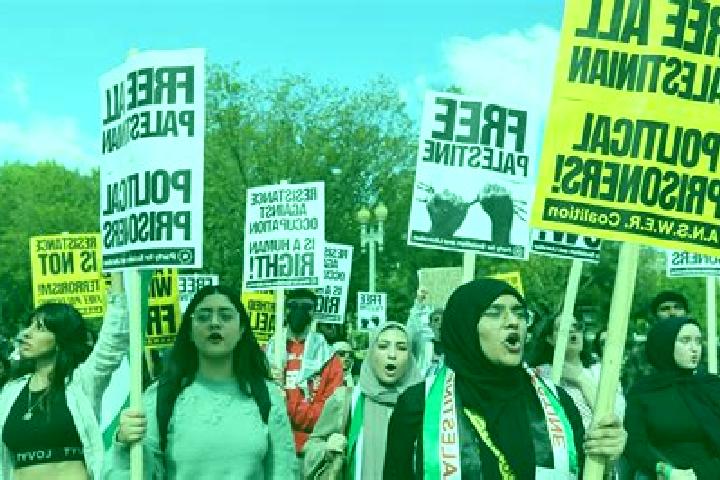 Escorts Burham, Palestine — Local Companions