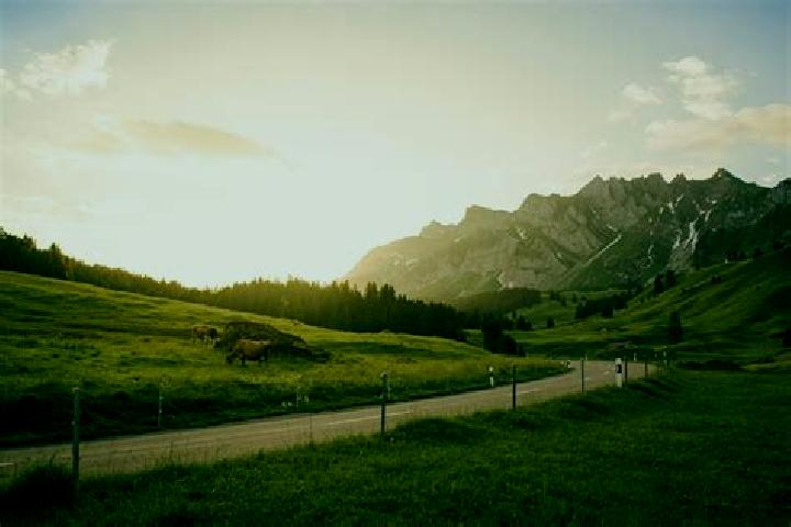 Escorts Buttes, Switzerland — Local Companions