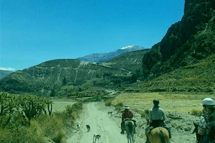 Escorts Cabanaconde, Peru — Local Companions