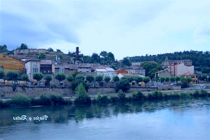 Escorts Cabanas de Ebro, Spain — Local Companions