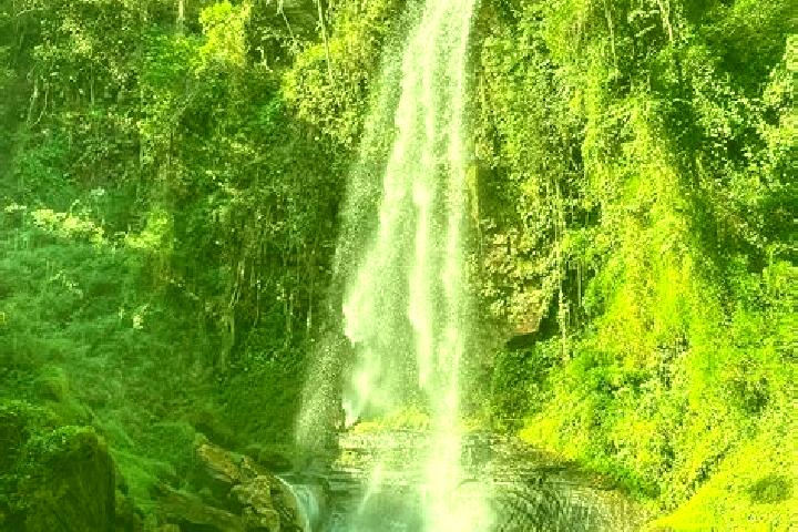 Escorts Cachoeira Alta, Brazil — Local Companions