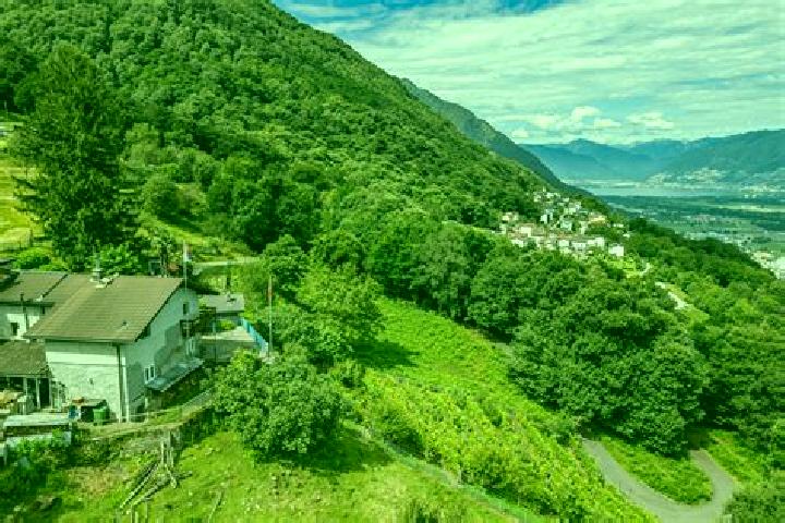 Escorts Cadenazzo, Switzerland — Local Companions