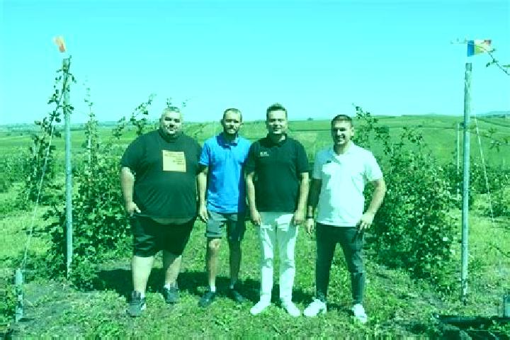 Escorts Cajvana, Romania — Local Companions