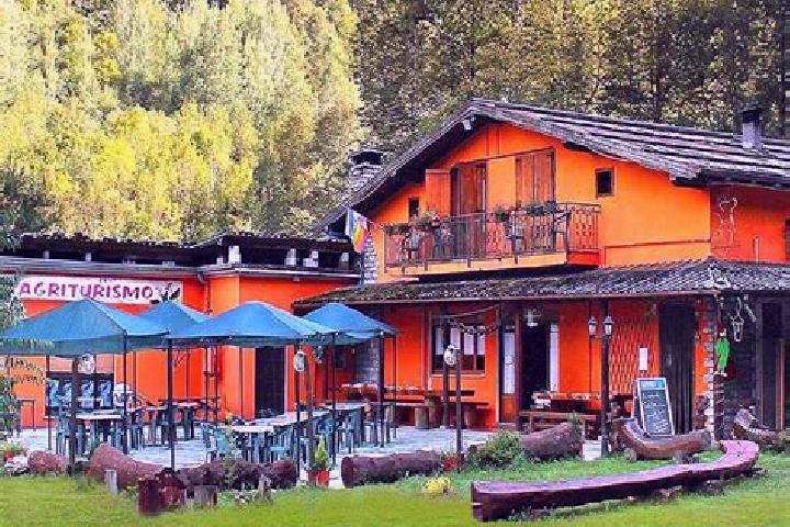 Escorts Calasca-Castiglione, Italy — Local Companions