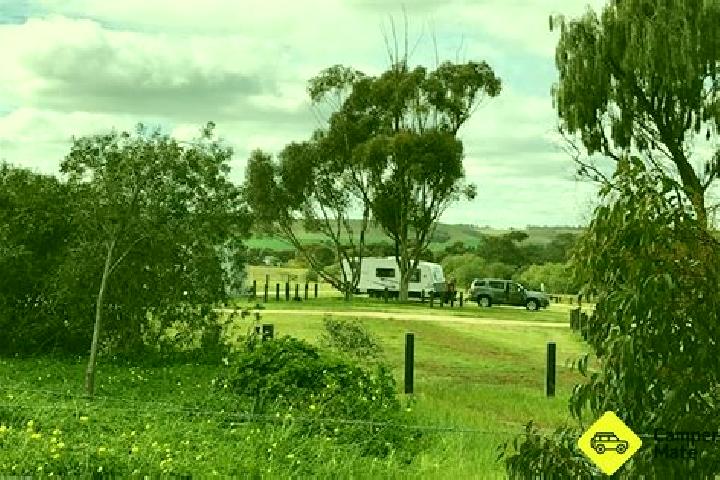 Escorts Callington, Australia — Local Companions