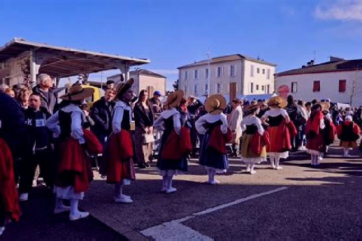 Escorts Calonges, France — Local Companions