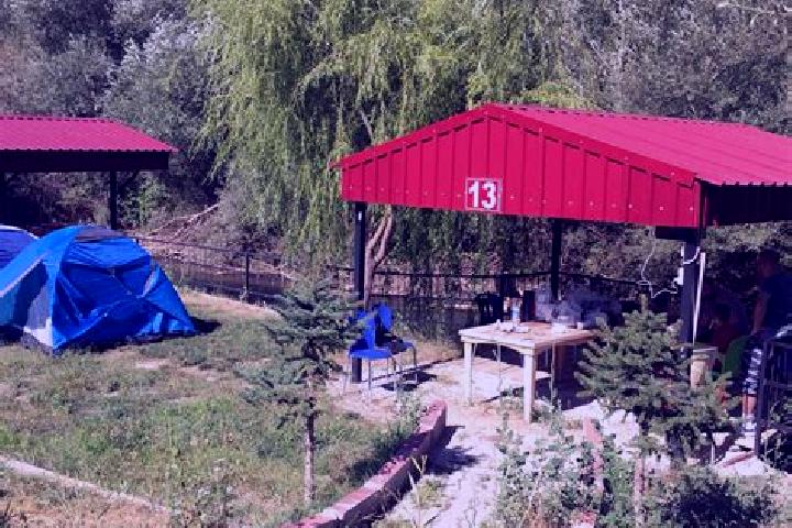 Escorts Camardi, Turkey — Local Companions