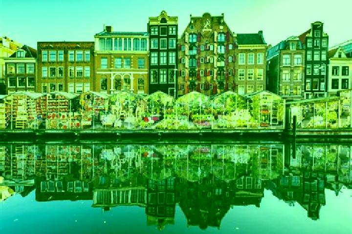 Escorts Camminghaburen, Netherlands — Local Companions