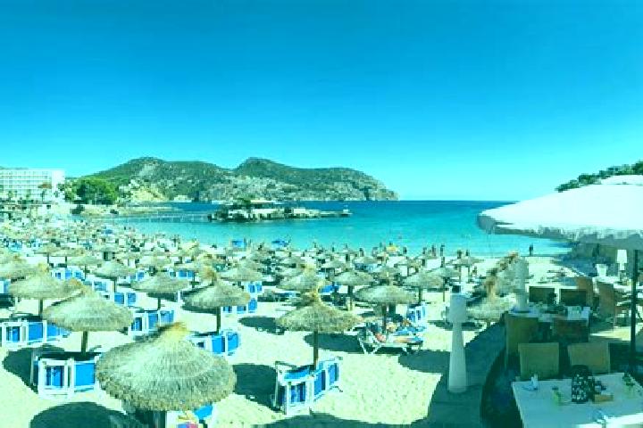 Escorts Camp de Mar, Spain — Local Companions