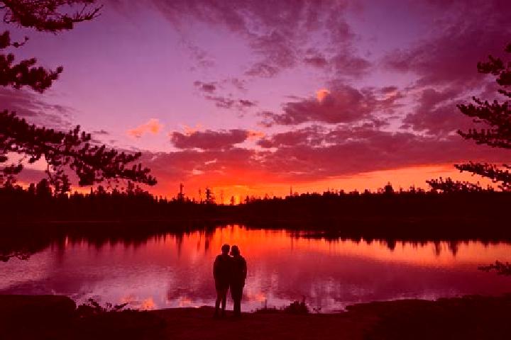 Escorts Campbell Creek, Canada — Local Companions