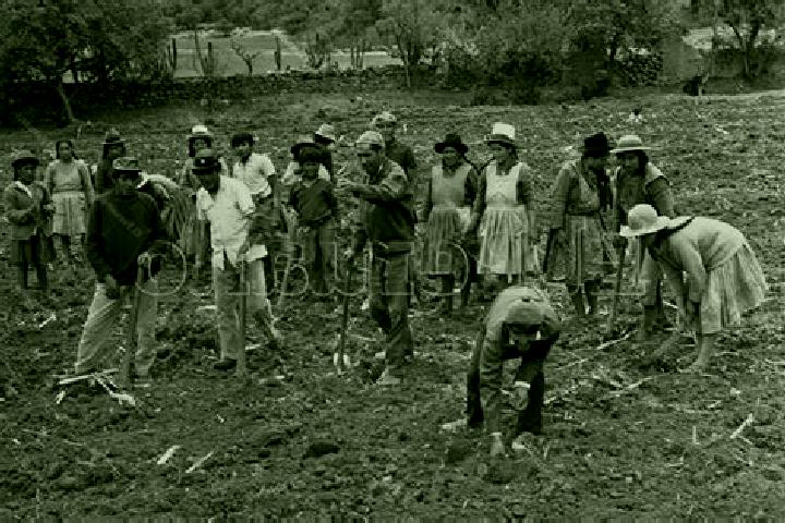 Escorts Campesina el Mirador, Mexico — Local Companions