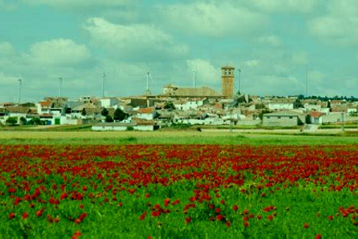 Escorts Campillo de Altobuey, Spain — Local Companions
