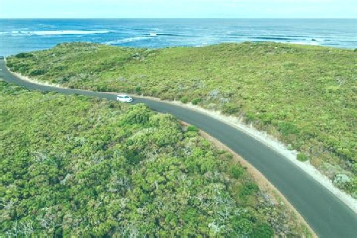 Escorts Capel Sound, Australia — Local Companions
