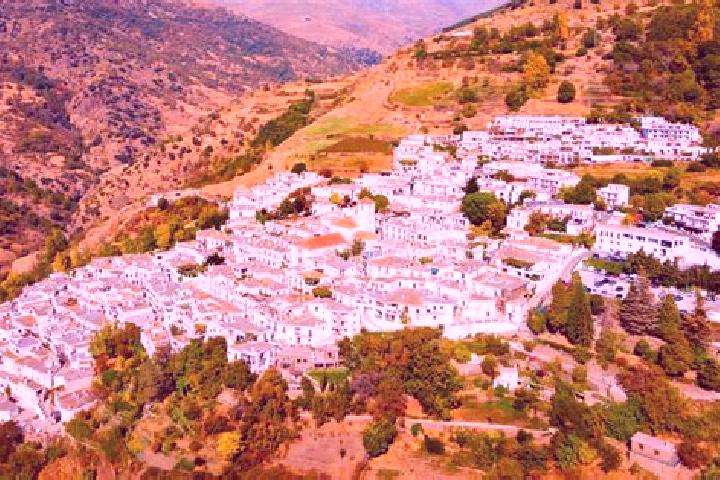 Escorts Capileira, Spain — Local Companions