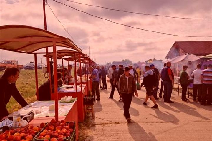Escorts Carniceni, Romania — Local Companions
