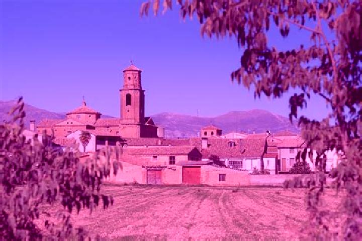 Escorts Casbas de Huesca, Spain — Local Companions
