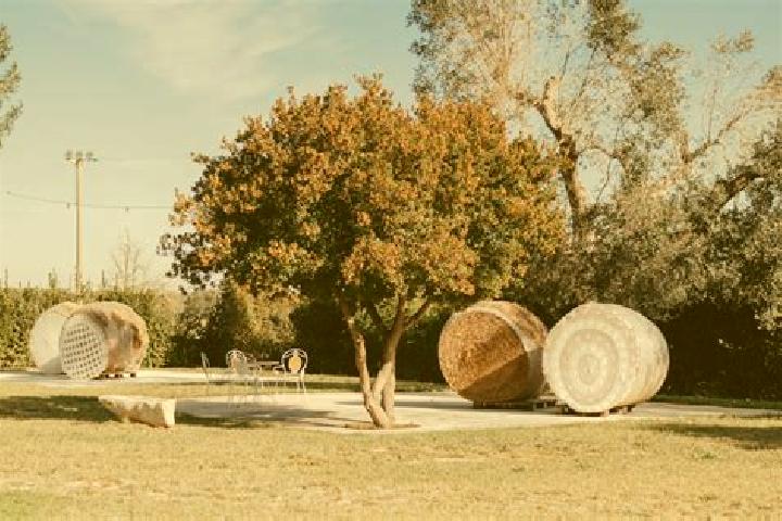 Escorts Cascine Maggio, Italy — Local Companions