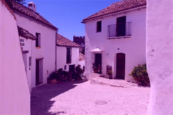Escorts Castellar de la Muela, Spain — Local Companions