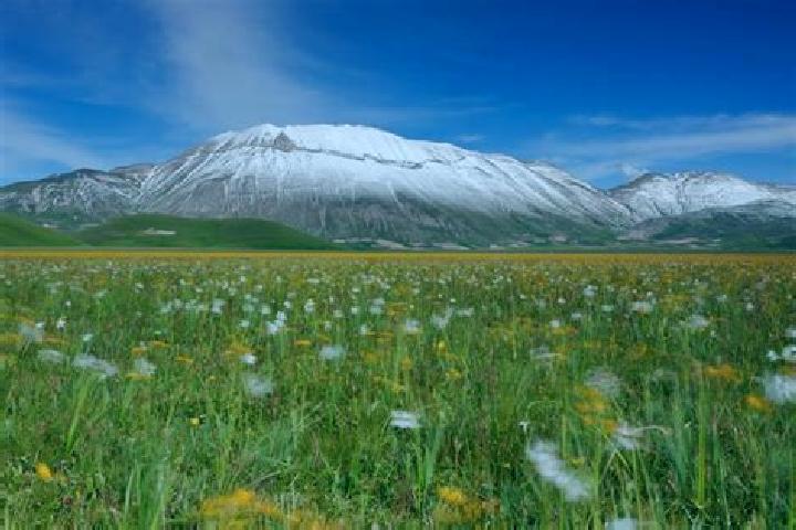 Escorts Castelluccio dei Sauri, Italy — Local Companions
